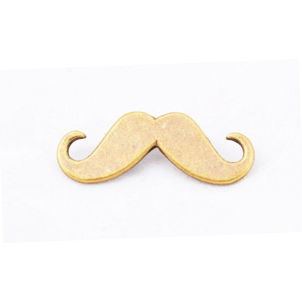 Moustache brooch 2024